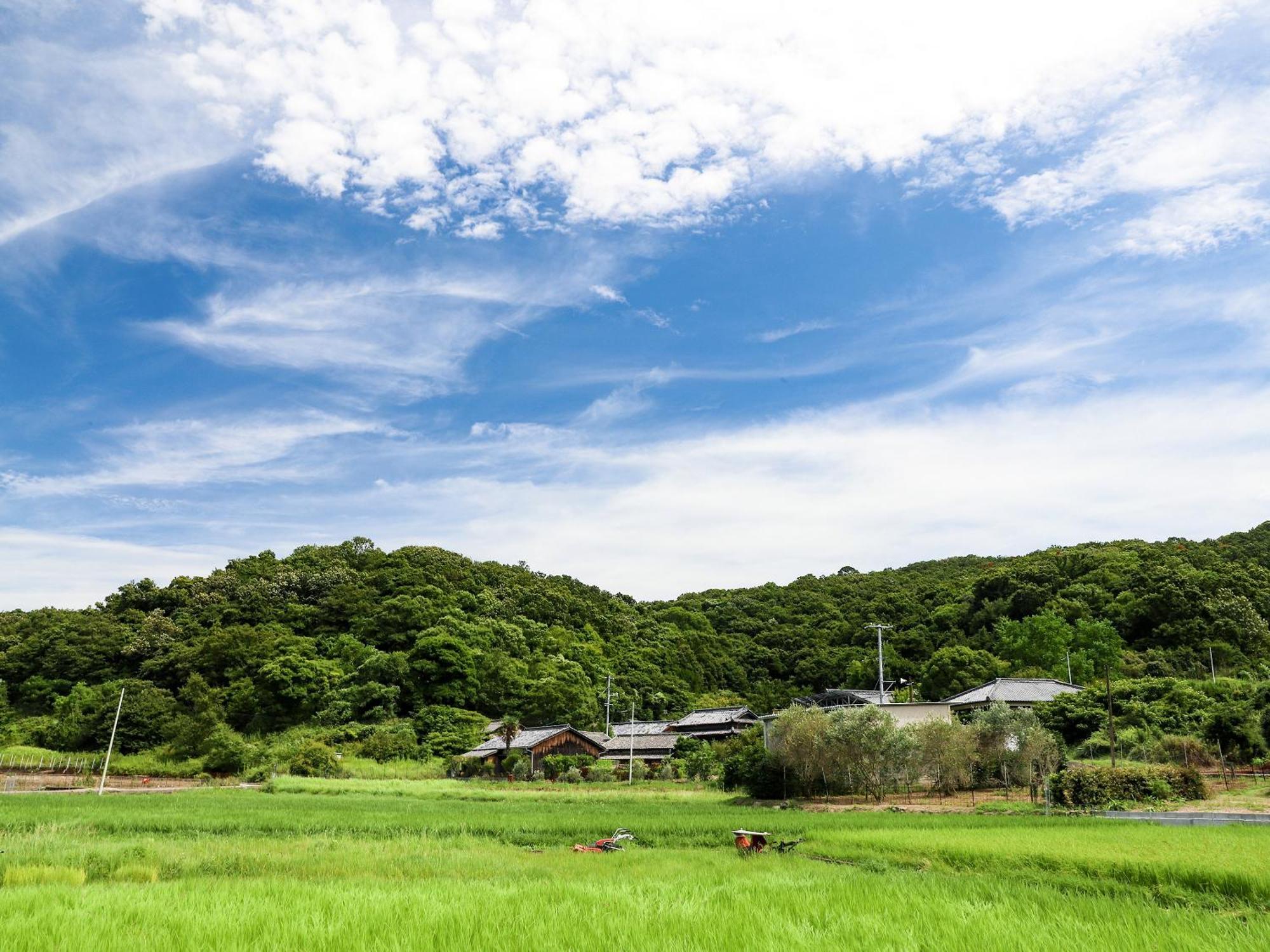 Willa オリーブ農家の家 お泊り忠左衛門 吉野 Shōdoshima Zewnętrze zdjęcie